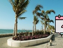 Estas son las características de cada temporada en Puerto Vallarta para que elijas la fecha de tu nueva vacación. EL INFORMADOR / ARCHIVO
