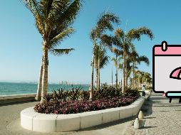 Estas son las características de cada temporada en Puerto Vallarta para que elijas la fecha de tu nueva vacación. EL INFORMADOR / ARCHIVO