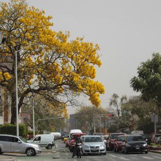 ¿Cuándo y a qué hora inicia el equinoccio de Primavera?