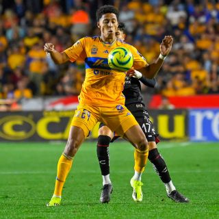 ¿Dónde ver EN VIVO el partido Tigres vs Juárez?