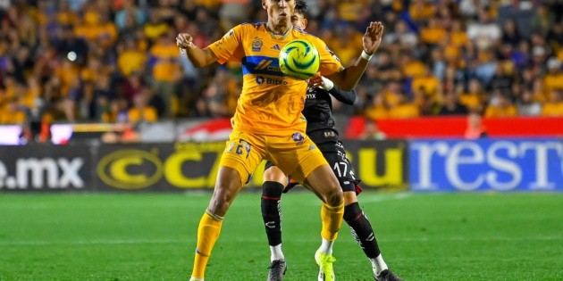 Tigres vs Juárez: Dónde ver EN VIVO el partido de la J9 Clausura 2024 ...