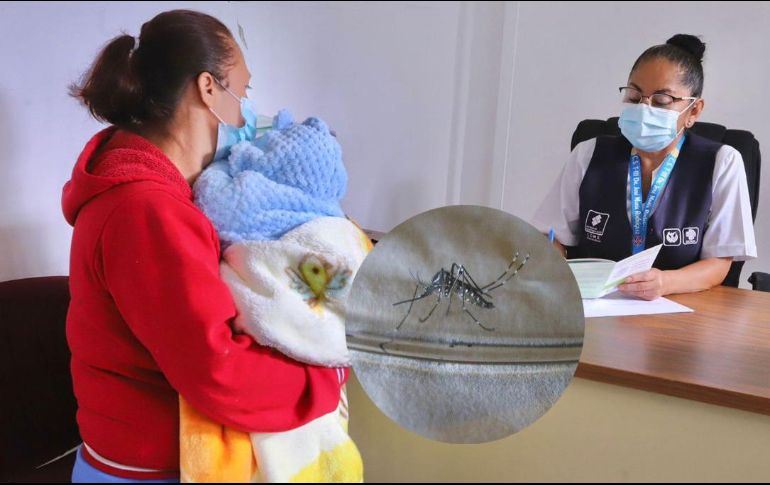 Las personas que se infectan por segunda vez corren más riesgo de que la enfermedad se agrave. SUN / EFE /ARCHIVO