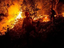 Autoridades de Texas aún no logran determinar el origen de estos incendios. EFE/ARCHIVO