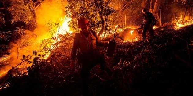 Texas incendios forestales afectaron m&aacute;s de 200 mil hect&aacute;reas