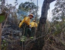 Al momento personal de Protección Civil y Bomberos de Zapopan se encuentran trabajando en el lugar desde hace algunas horas. CORTESÍA