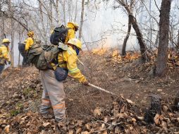 Los cuerpos fueron rescatados luego de 48 horas en que fue reportada su desaparición y por lo inaccesible del terreno. X/ @GobOax.