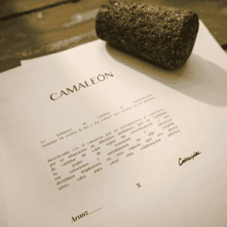 Natalia Arauz y Carina Sainz presentan camaleónica exposición de pintura