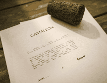 Apertura de la exposicion de pintura Camaleon de Natalia Arauz y Carina Sainz. EL INFORMADOR/A.NAVARRO