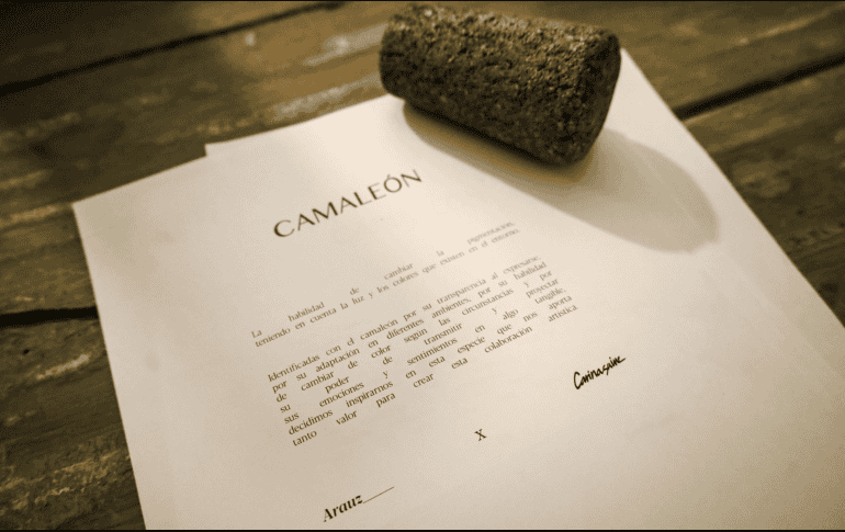 Apertura de la exposicion de pintura Camaleon de Natalia Arauz y Carina Sainz. EL INFORMADOR/A.NAVARRO