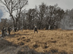 Coesfo ha confirmado que se está abordando el incendio desde dos puntos para frenar su propagación. X/@EntidadOaxaca