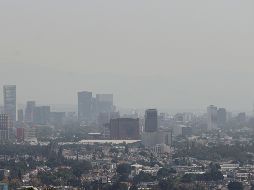 El principal componente del ozono 