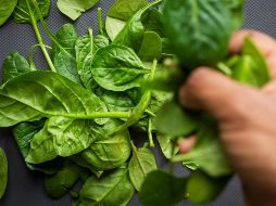 Espinacas, uno de los alimentos que más potasio ofrecen. ESPECIAL / Foto de Louis Hansel en Unsplash
