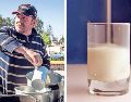Se sugiere, en la medida de lo posible, consumir leche entera para evitar la pérdida de nutrientes que contiene la grasa de estos productos. SUN / ARCHIVO
