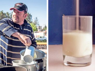 Se sugiere, en la medida de lo posible, consumir leche entera para evitar la pérdida de nutrientes que contiene la grasa de estos productos. SUN / ARCHIVO