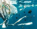 En un comunicado, la organización ecologista Greenpeace urgió este viernes a los Estados miembros de la ONU a buscar un tratado contra el plástico "ambicioso". UNSPLASH /  N. Bertolt Jensen