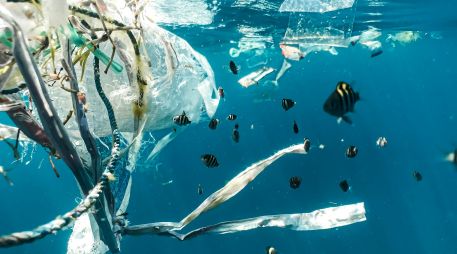 En un comunicado, la organización ecologista Greenpeace urgió este viernes a los Estados miembros de la ONU a buscar un tratado contra el plástico 