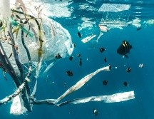 En un comunicado, la organización ecologista Greenpeace urgió este viernes a los Estados miembros de la ONU a buscar un tratado contra el plástico 