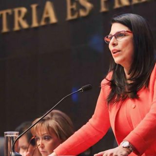 Presidenta de Cámara de Diputados asegura que las leyes aún no son suficientes para la igualdad de género