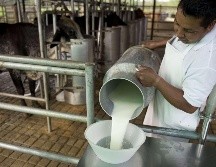 La FAO recomienda consumir medio litro de leche al día, y en México se consumen únicamente 370 mililitros en promedio diariamente por persona. AFP / ARCHIVO