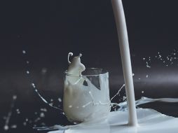 Existen distintas posiciones respecto al consumo de productos lácteos. ESPECIAL/ Foto de A. Jankovic en Unsplash
