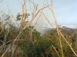 El pasado 29 de febrero comenzó el primer incendio en la parte alta de la colonia de Dragos, en las inmediaciones de la zona Puerto Marqués. X/@PC_Guerrero.