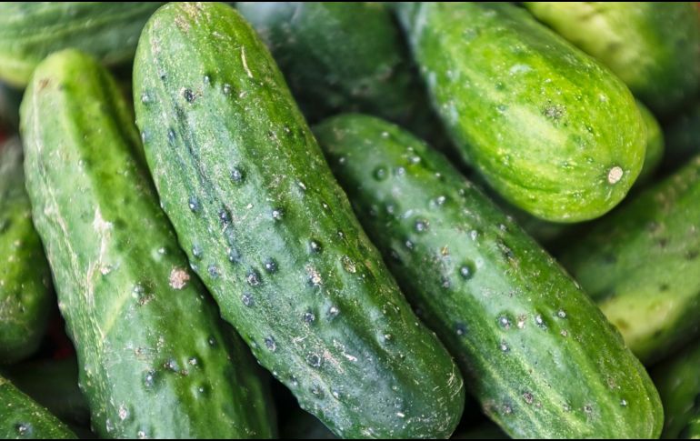 Los pepinos están compuestos de un 90% de agua y fibra. ESPECIAL/ Foto de Eric Prouzet en Unsplash