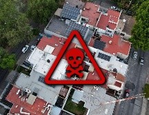 Es importante mencionar que estos arácnidos no atacan si no se sienten amenazados. EL INFORMADOR / ARCHIVO