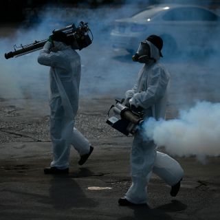 Dengue: casos en México aumentan durante primer bimestre del 2024