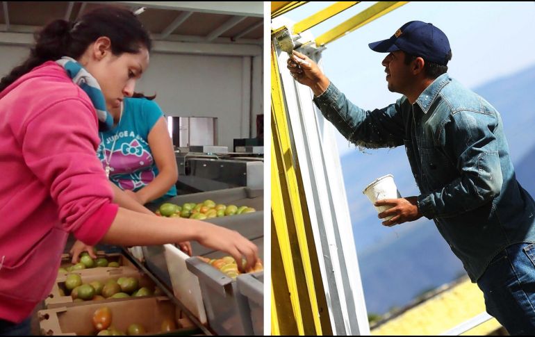 México es uno de los países donde las personas dedican más tiempo al trabajo: 2 mil 226 horas, para ser exactos. NTX / EL INFORMADOR / ARCHIVO