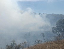 El siniestro se presenta sobre predio las Minitas en el Ejido La Primavera. CORTESÍA/ Bomberos de Zapopan.