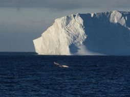 La Antártida se encuentra en riesgo ante el calentamiento global. EFE/ ARCHIVO