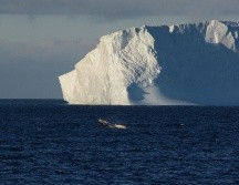La Antártida se encuentra en riesgo ante el calentamiento global. EFE/ ARCHIVO