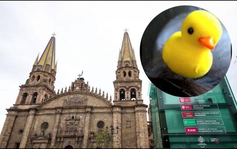 Usuarios de Tik Tok atribuyen el uso del pollito amarillo  a una de las esculturas de Alejandro Colunga, que tiene un pollo en la cabeza y se encuentra en la explanada del Hospicio Cabañas. ESPECIAL.