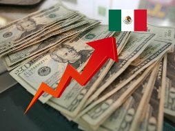 Diversos factores nacionales e internacionales podrían disparar el dólar en México. EL INFORMADOR/ ARCHIVO