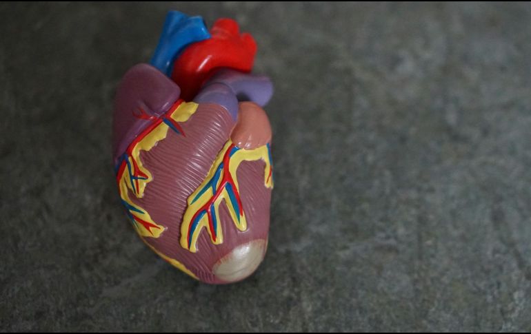 Te explicamos las razones de por qué ocurre esto. UNSPLASH / R. Weermeijer