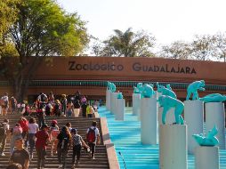 Niñas, niños y adolescentes podrán participar en recorridos especiales, rallys, actividades ecológicas, interacción con los animales y mucho más. EL INFORMADOR/ ARCHIVO.