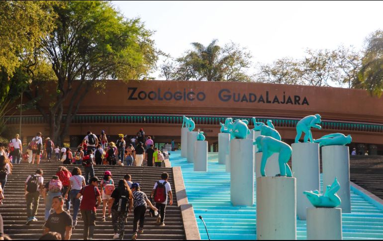 Niñas, niños y adolescentes podrán participar en recorridos especiales, rallys, actividades ecológicas, interacción con los animales y mucho más. EL INFORMADOR/ ARCHIVO.