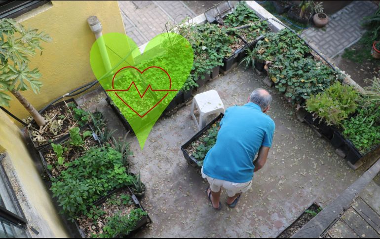 Este mineral que puedes encontrar en muchos alimentos es esencial para mantener tu buena salud, EL INFORMADOR / ARCHIVO