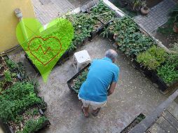 Este mineral que puedes encontrar en muchos alimentos es esencial para mantener tu buena salud, EL INFORMADOR / ARCHIVO