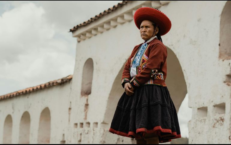 Esta planta ha sido utilizada como medicina desde hace mucho tiempo; crece principalmente cerca de la Cordillera de los Andes. ESPECIAL / PEXELS