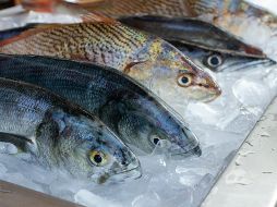 Comer pescado regularmente puede ayudar a reducir la presión arterial y prevenir la formación de placas de grasa en las arterias. ESPECIAL / Foto de camila igisk en Unsplash