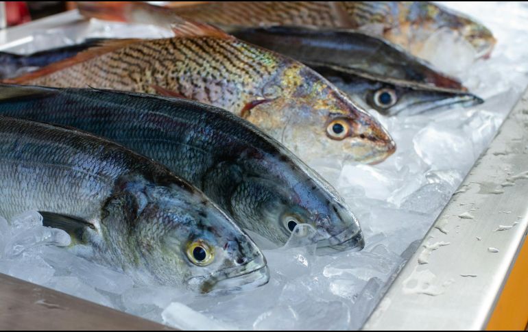 Comer pescado regularmente puede ayudar a reducir la presión arterial y prevenir la formación de placas de grasa en las arterias. ESPECIAL / Foto de camila igisk en Unsplash