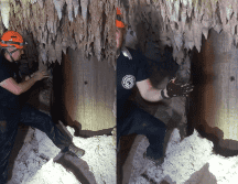 El 16 de febrero pasado, un tribunal federal dictaminó la suspensión de las obras del Tramo 5 sur del Tren Maya. ESPECIAL/TIK TOK