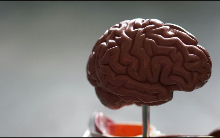 Hay que saber diferenciar entre los cambios normales en la memoria y la pérdida de memoria asociada algún tipo de trastorno. Unsplash.