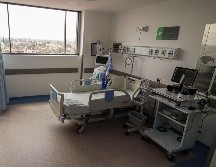 Este padecimiento se transmite principalmente por picaduras de chinches. EL INFORMADOR/ARCHIVO