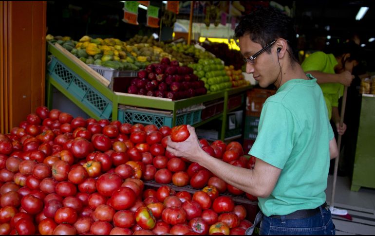 Se debe evitar tener los jitomates en climas muy fríos, pues provienen de climas subtropicales, porque no toleran las altas temperaturas. AFP / ARCHIVO
