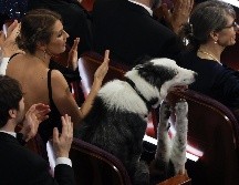 El momento llegó cuando después del monólogo hecho por su presentador Jimmy Kimmel en la apertura del evento, se proyectaron unas imágenes que mostraban al border collie de 7 años en una butaca privilegiada junto a un pasillo cerca del escenario.EFE/ARCHIVO