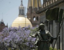 Los árboles de Guadalajara están viviendo eclosiones anticipadas. EL INFORMADOR/ ARCHIVO