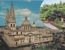Guadalajara tiene entre sus calles árboles de más de un siglo de vida. EL INFORMADOR/ ARCHIVO