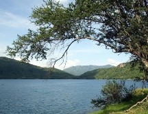 Esta es la historia de cómo obtuvimos un Buckingham mexicano. EL INFORMADOR / ARCHIVO